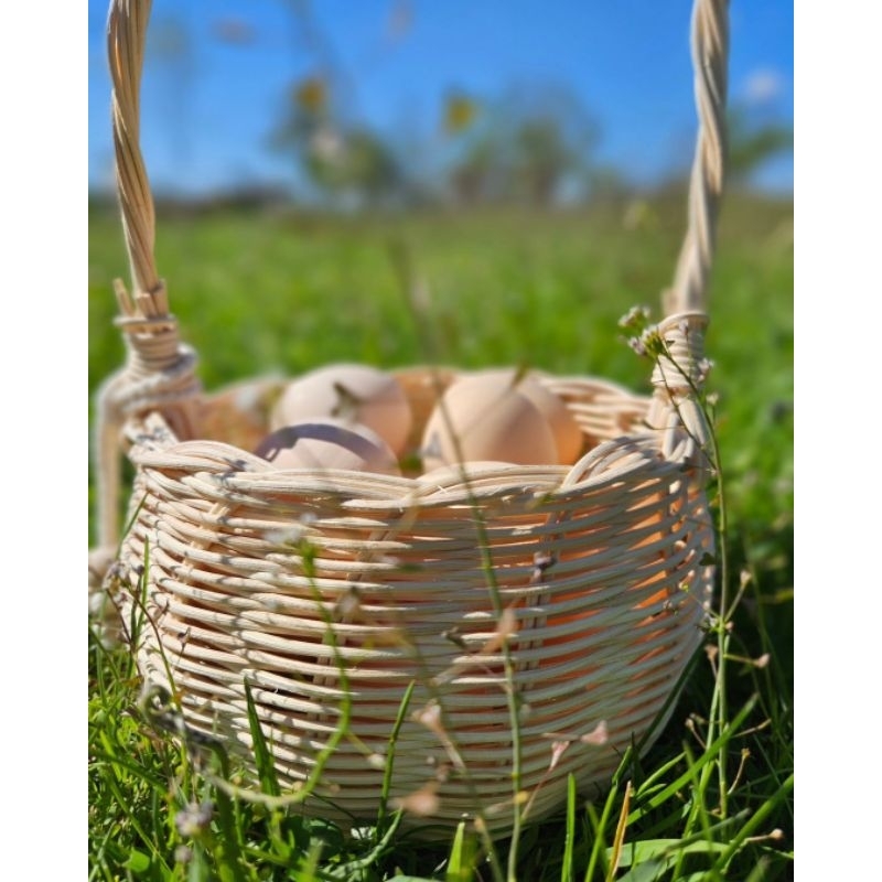 keranjang telur full rotan mini