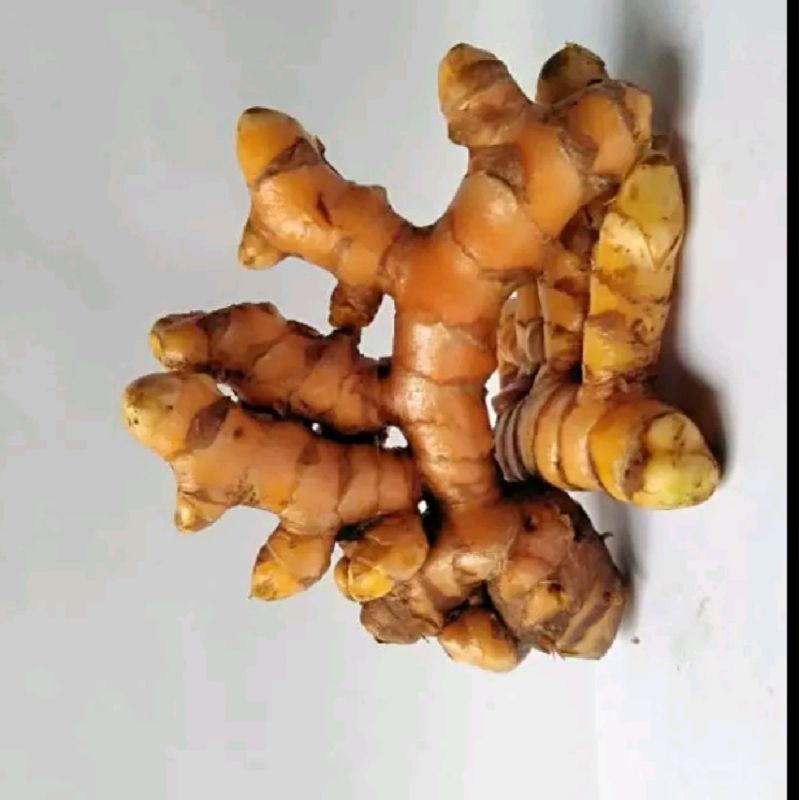 

kunyit masak rempah alami