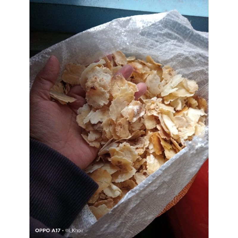 

SORTIRAN EMPING MURAH