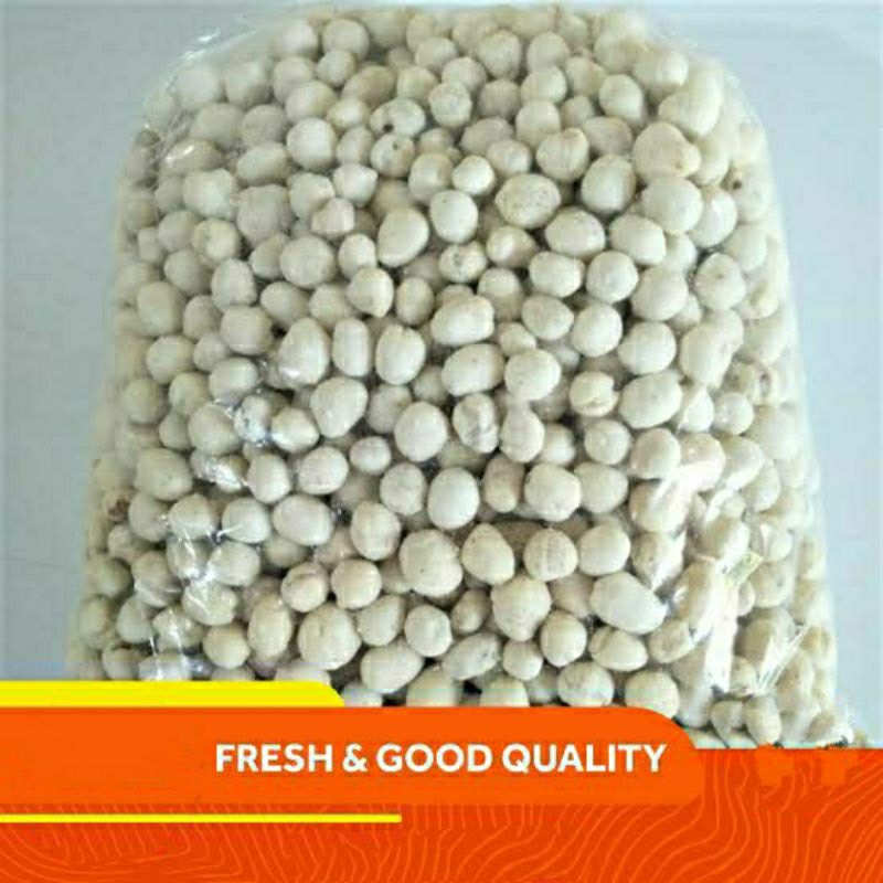 

kacang atum Jumbo
