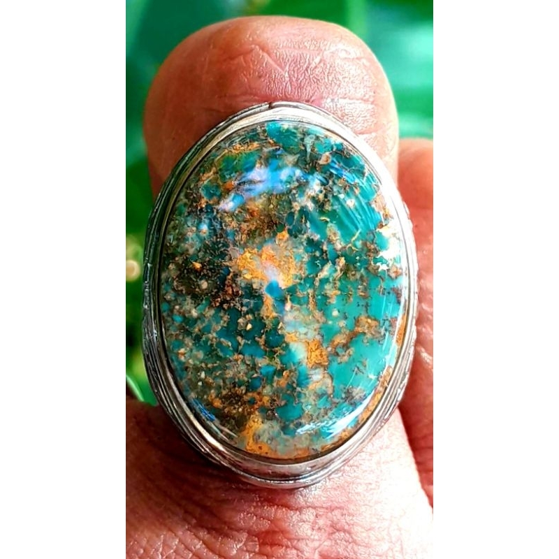 Pirus Persia lawasan Abdul Rozaq Hijau urat emas size jumbo