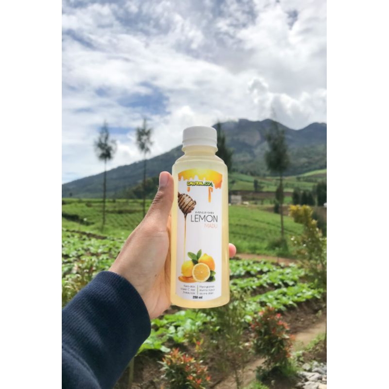 

Minuman Lemon Madu ( Sari Lemon )