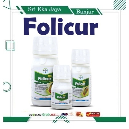 FOLICUR GOLD 430 SC FUNGISIDA UNTUK TANAMAN PADI