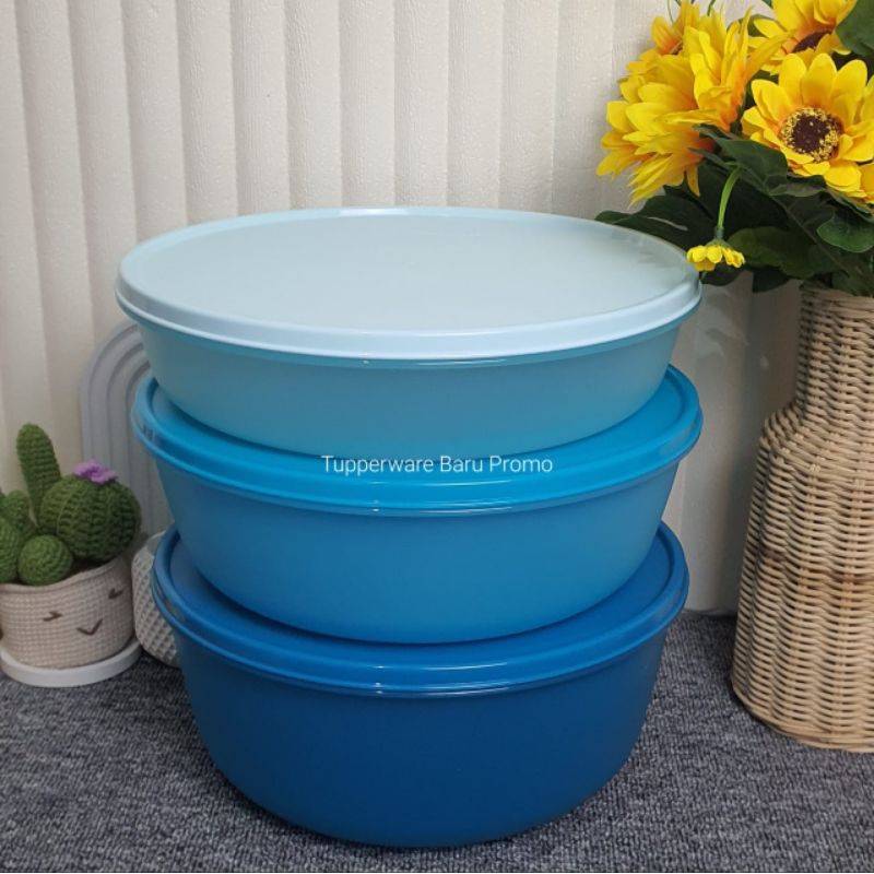 [PROMO AMBYAR] Baskom Jumbo Dengan Tutup - Baskom 4 L - Modular Bowl Package