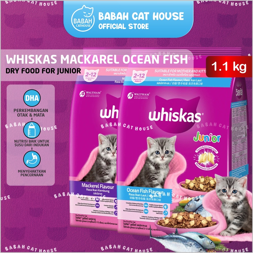 WHISKAS JUNIOR MACKAREL OCEAN FISH 1.1KG Cat Food Makanan Kering Kucing Kitten Mother And Baby Wiska