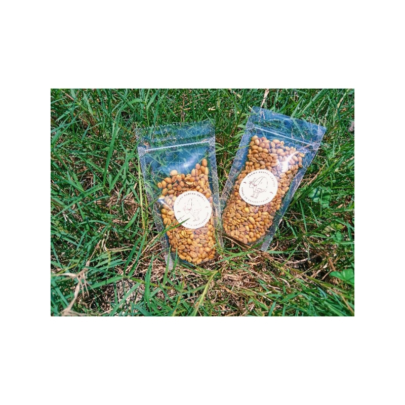 

Biji kecil kopi mentah