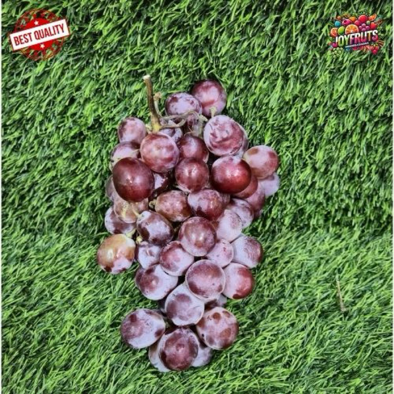 

Anggur Red Globe Impor 500-1000g