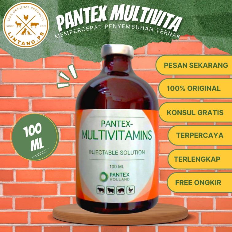 Pantex Multivitamin 100ml - Injeksi Multivitamin - pantex