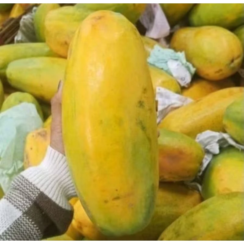 

Pepaya California 1 buah