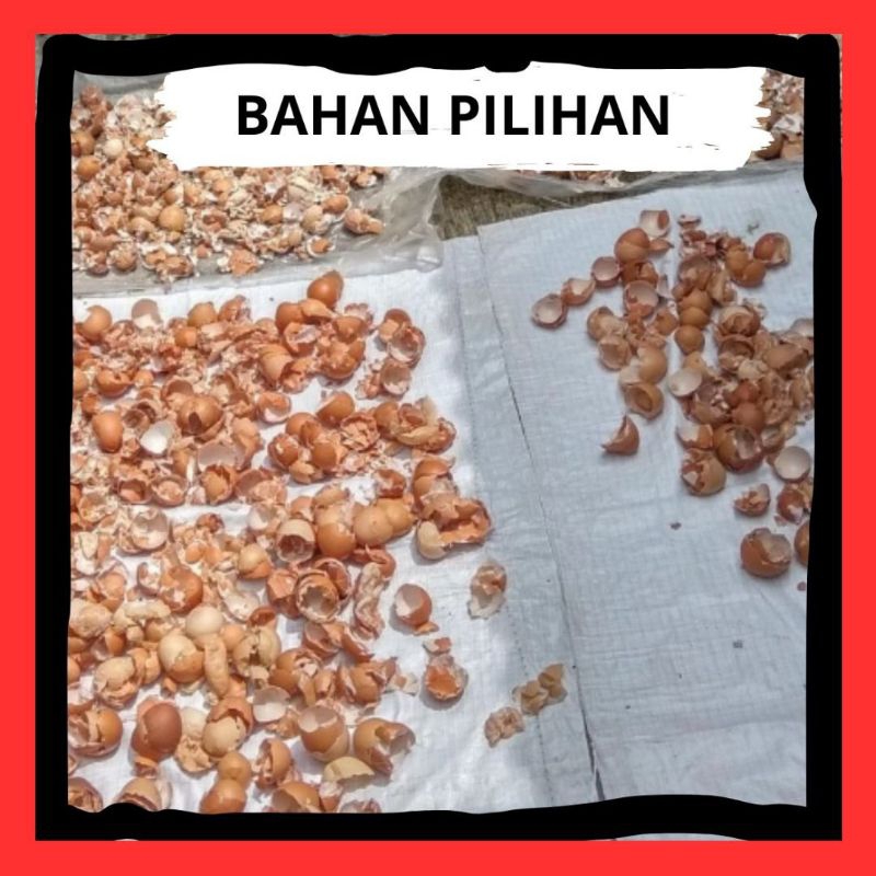 PALING DICARI.. Cangkang Telur Ayam Halus
