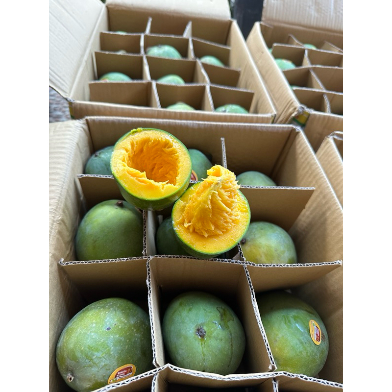 

Mangga Alpukat Jatim 1 kg