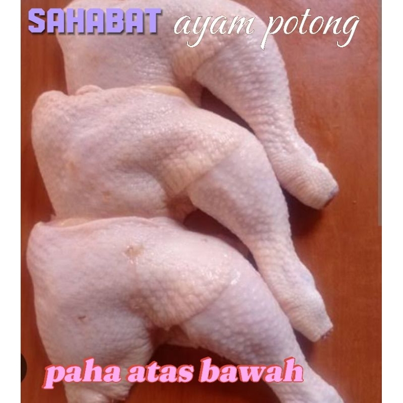 

paha atas bawah