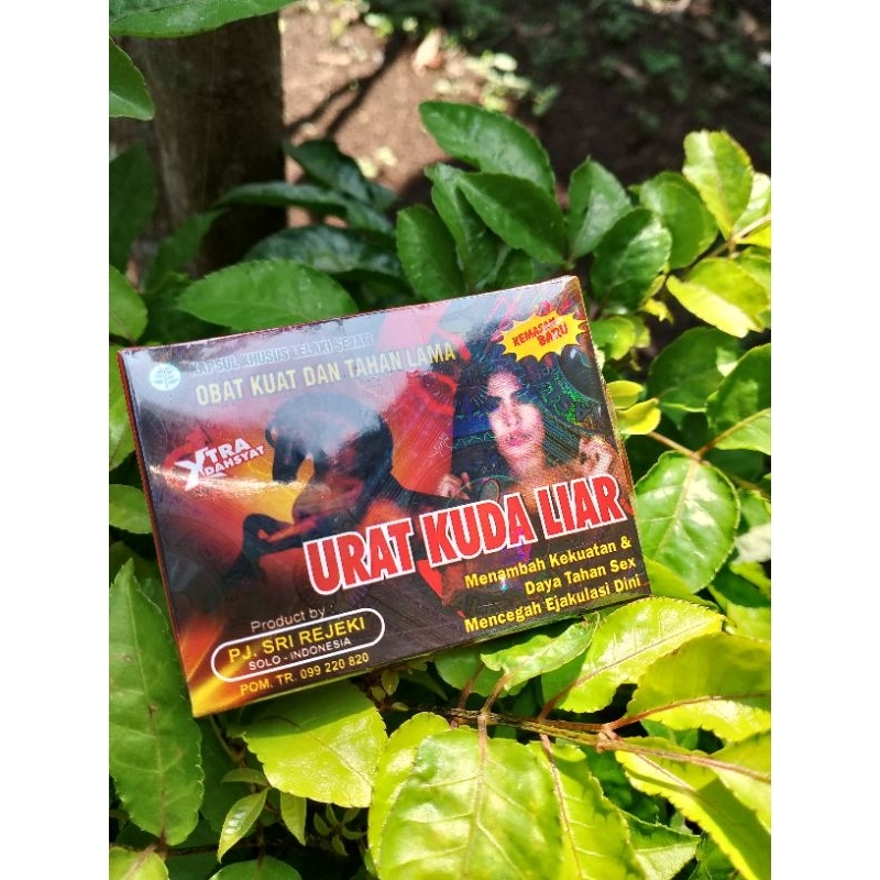 Kapsul Stamina URAT KUDA LIAR