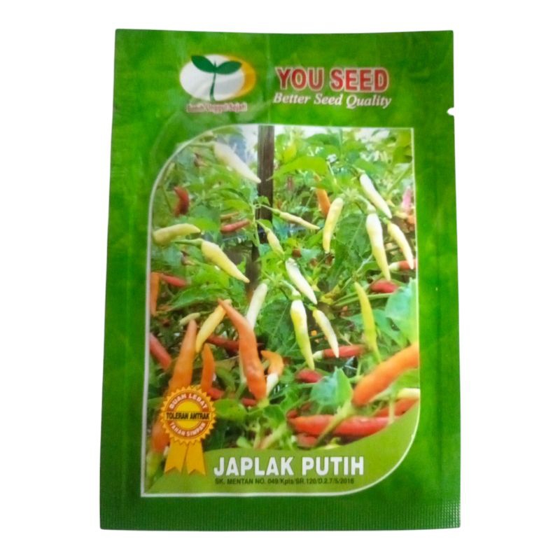 Benih Cabe Rawit Unggul Japlak Putih 10 Gram Bibit Cabe Rawit Benih Cabe Rawit