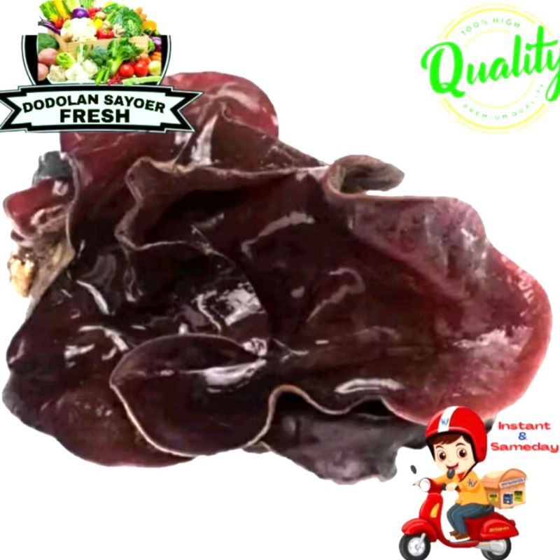 

Jamur kuping/jamur hitam Fresh pilihan
