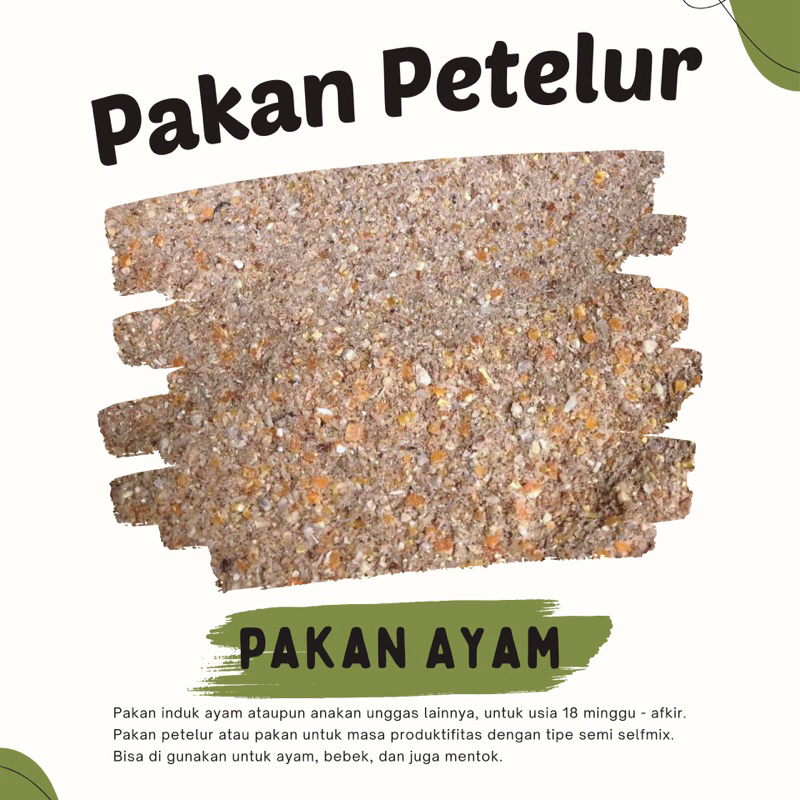 Pakan Layer | Pakan Ayam Petelur | Pakan Bebek Petelur | Pakan Racikan Petelur