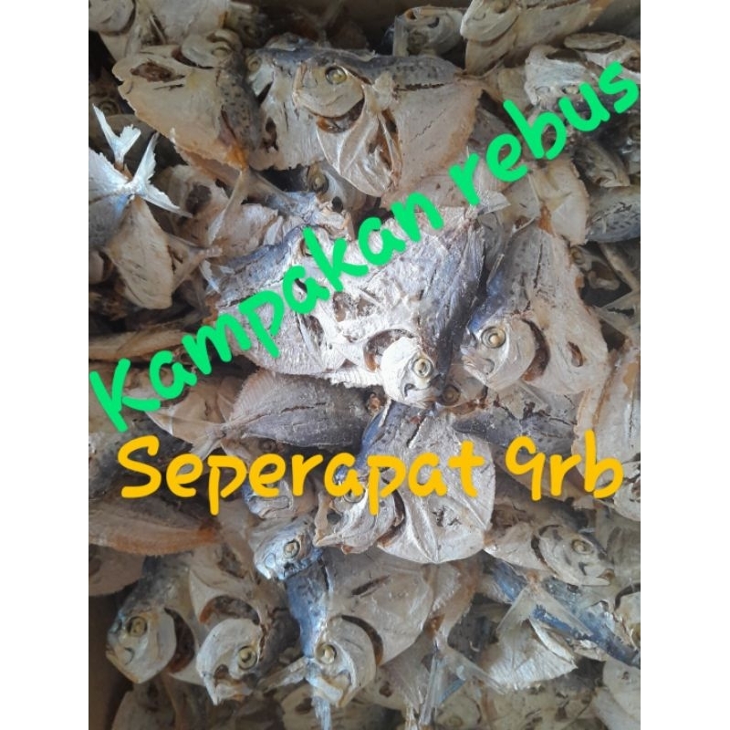 

kampakan rebus seperapat 9rb bisa COD