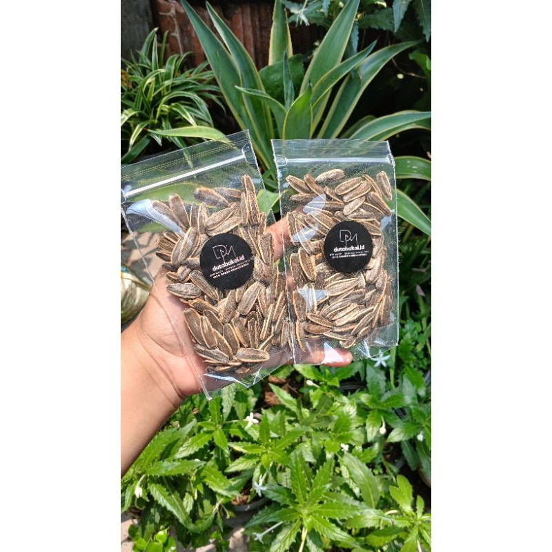 

PAKET MURAH - KUACI