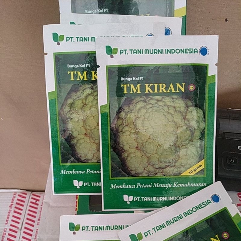 bibit bunga kol tm kiran/ brokoli TM KIRAN F1