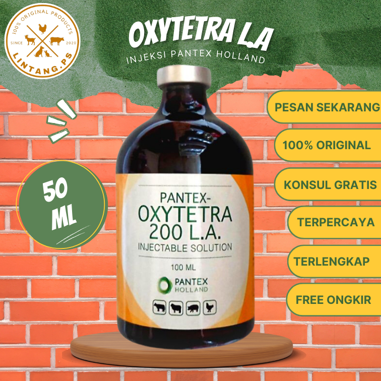 Oxy LA 50 ml - Oxytetracycline 50 ml - Oxy LA Pantex 50 ml - Obat Hewan Ternak Ampuh