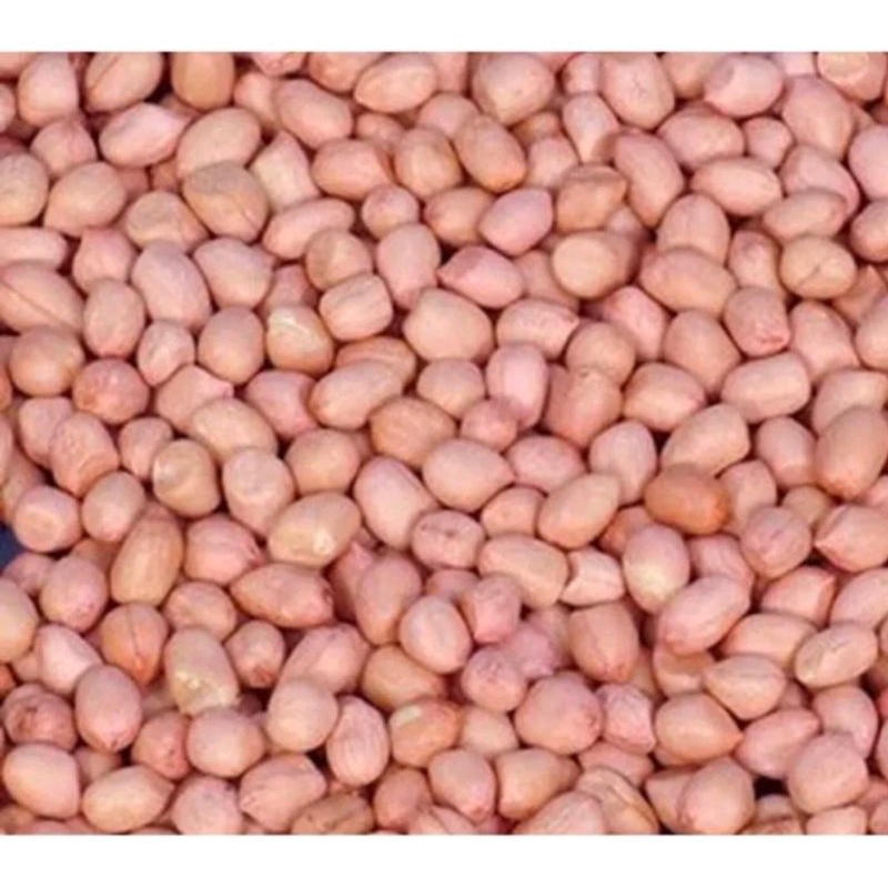 

Kacang Tanah Mentah Fresh