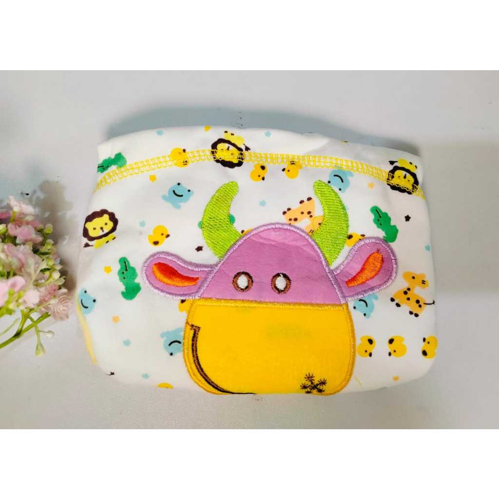 Popok Kain Bayi Cuci Ulang / Clodi Celana / Popok Celana Anak Bayi- 3671