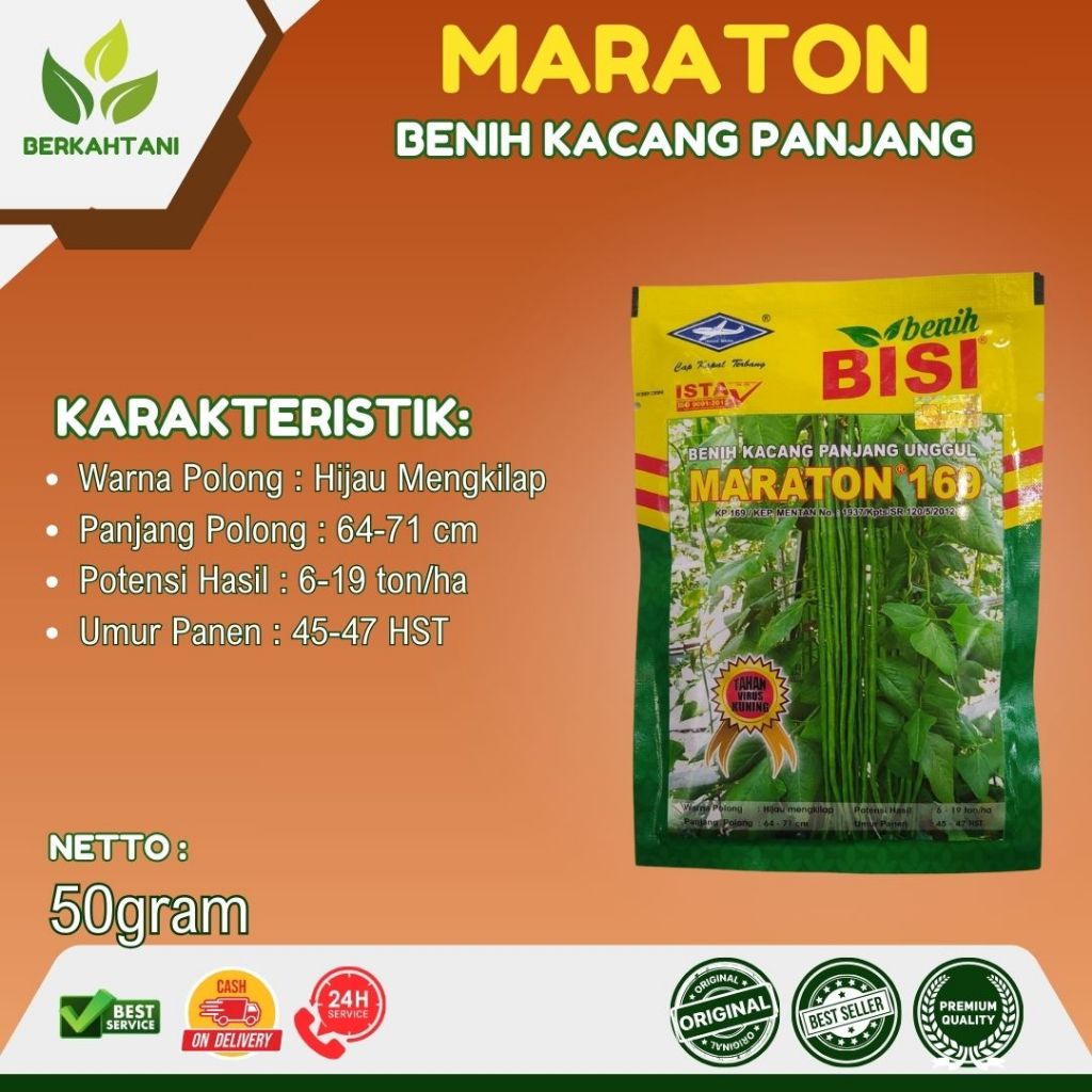 Benih Kacang Panjang Marathon 50 Gram Cap Kapal Terbang