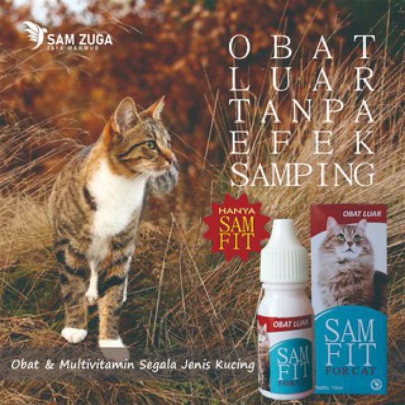 Obat Luka Kucing  Scabies  Berjamur Jamuran Telinga dan Kutu air Telinga Sakit Mata Kitten Dewasa Sa
