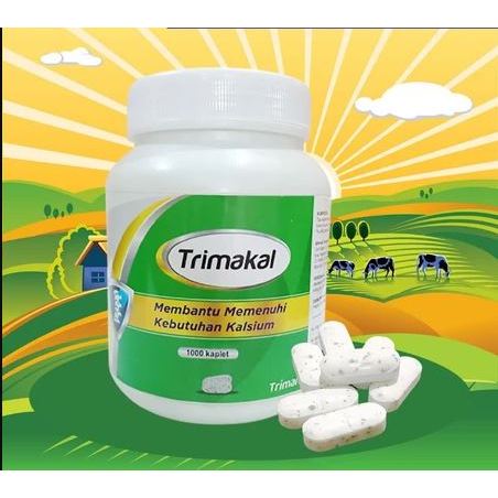 1 Tablet Kalsium Kucing Vitamin Tulang Kucing Obat Kucing Lumpuh Suplement Tulang IMPORT