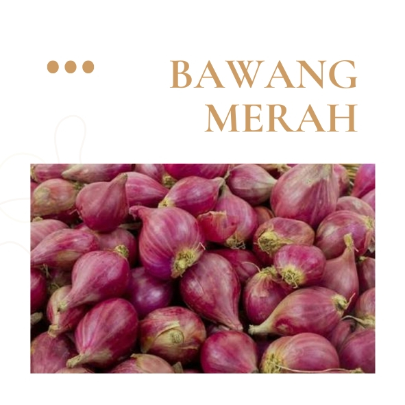 

Bawang Merah | Bahan Masakan