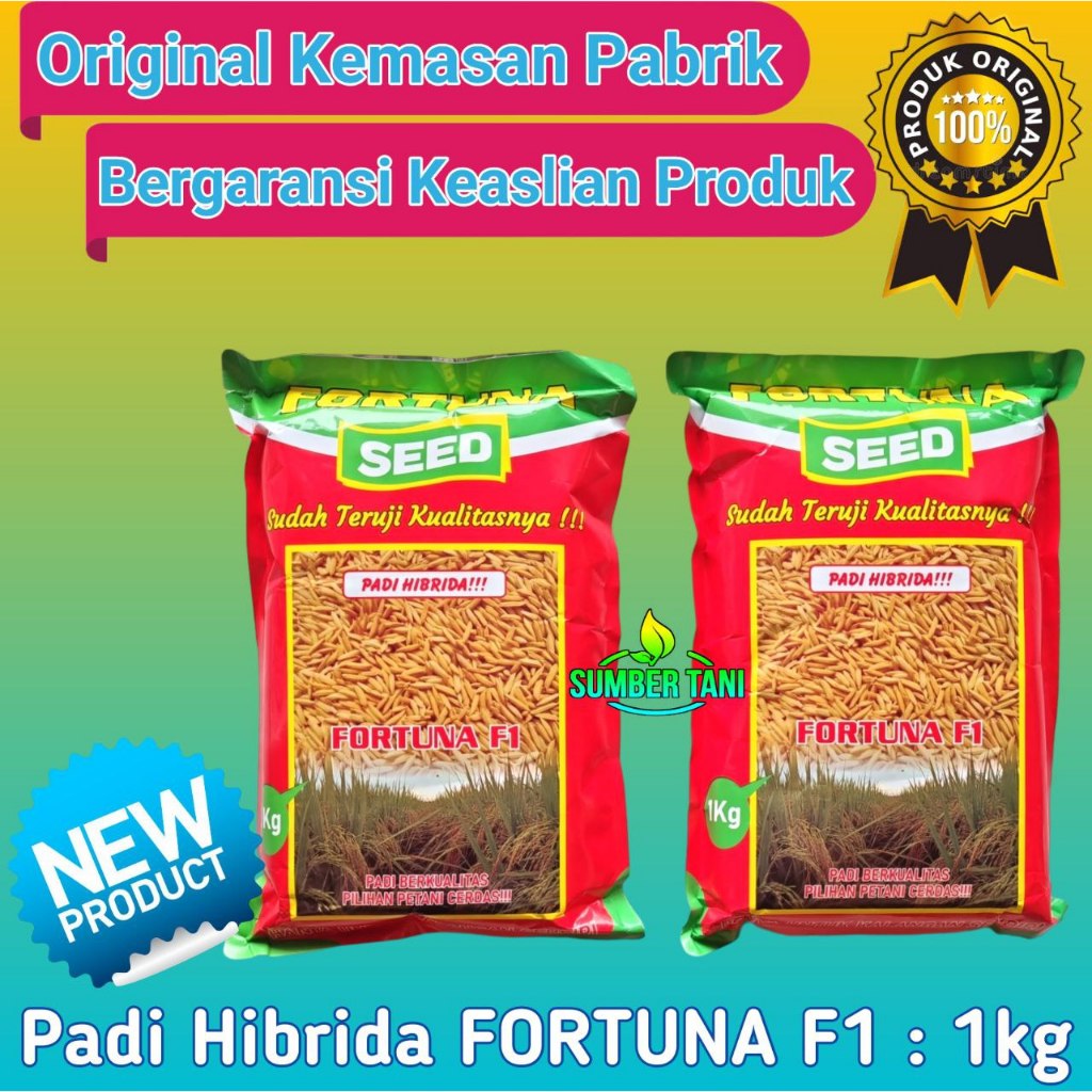 Benih Padi Hibrida FORTUNA F1 | 1kg Varietas Sama Persis MAPAN P05 - SUPADI 56