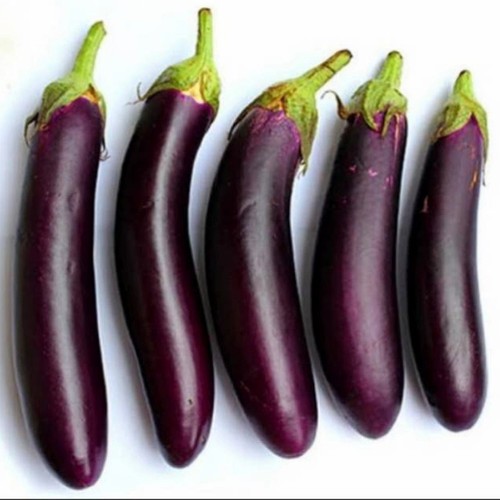 

TERONG UNGU 500gr