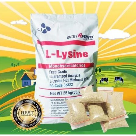LYSINE MINI - Vitamin Sugar Glider Penggemuk Penambah Nafsu Makan Anti Stress Anti Sakit Sugar Glide