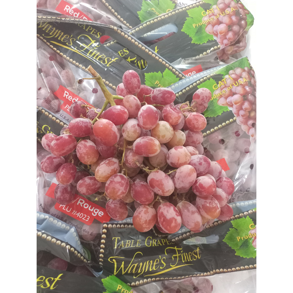 

ANGGUR MANIS GARING SEEDLESS GRAPE SWEET CELEBRATION