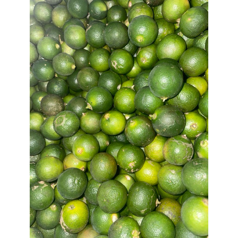 

Jeruk Songkit || 500gr, 1000gr || Jeruk Kunci Fresh Organic