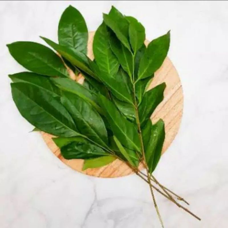 

daun salam segar /ikat murah