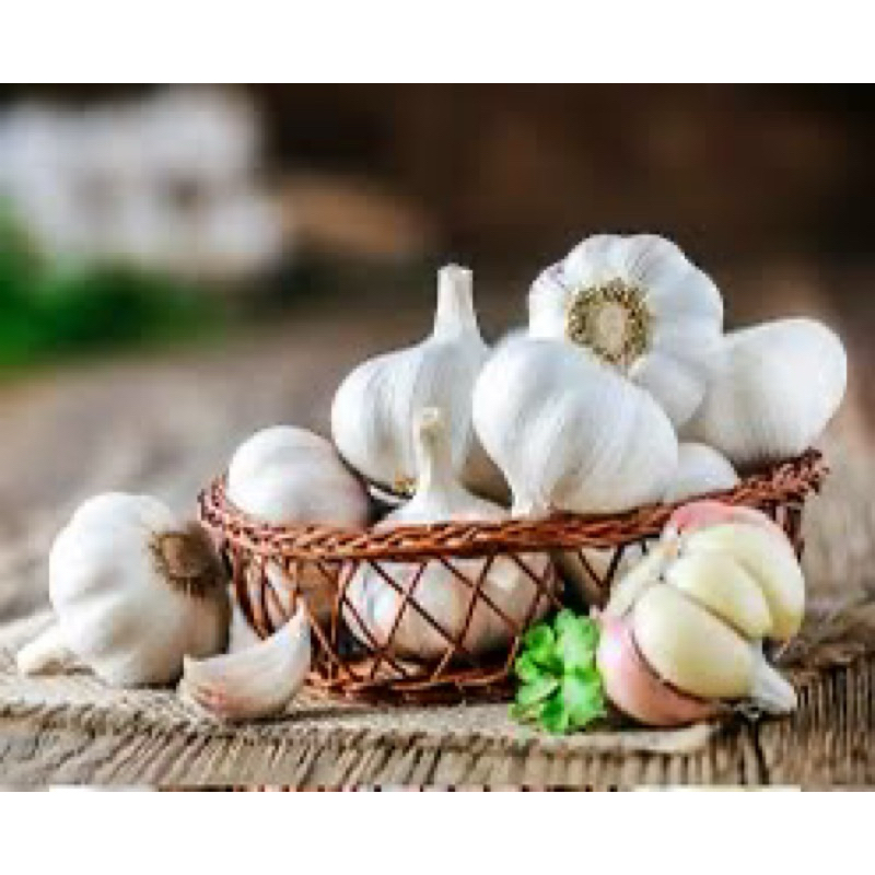 

Bawang putih/ bawang putih premium / bawang putih termurah