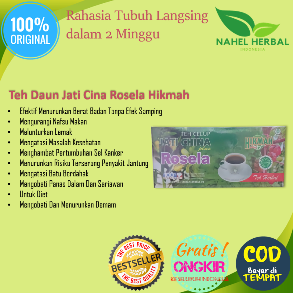 

- 100 - - / / / / / /