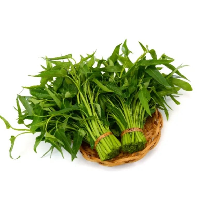 

kangkung