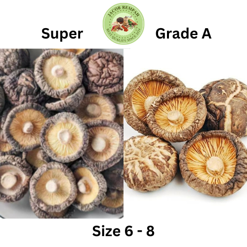 Jamur Shitake Kering | Hioko Kering PREMIUM