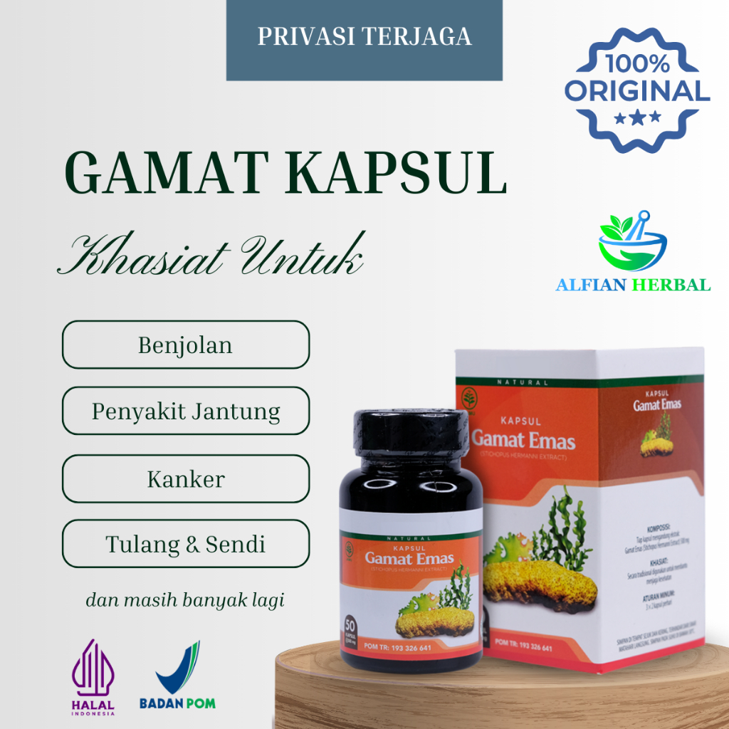Kapsul Gamat Emas Kapsul Original Asli