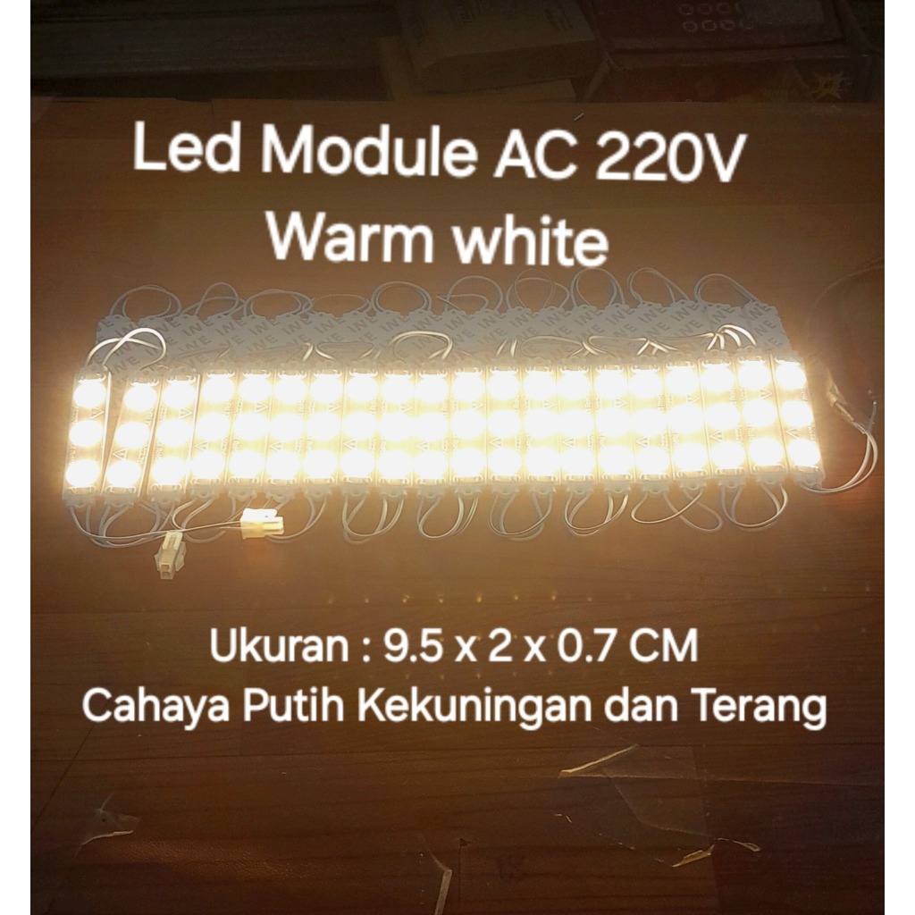 Led Module AC 220V Warm White big