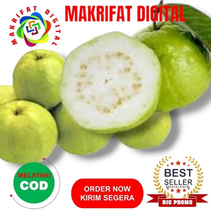 

Paket 1 Kg Buah JAMBU KRISTAL PUTIH Tanpa Biji by MAKRIFAT DIGITAL