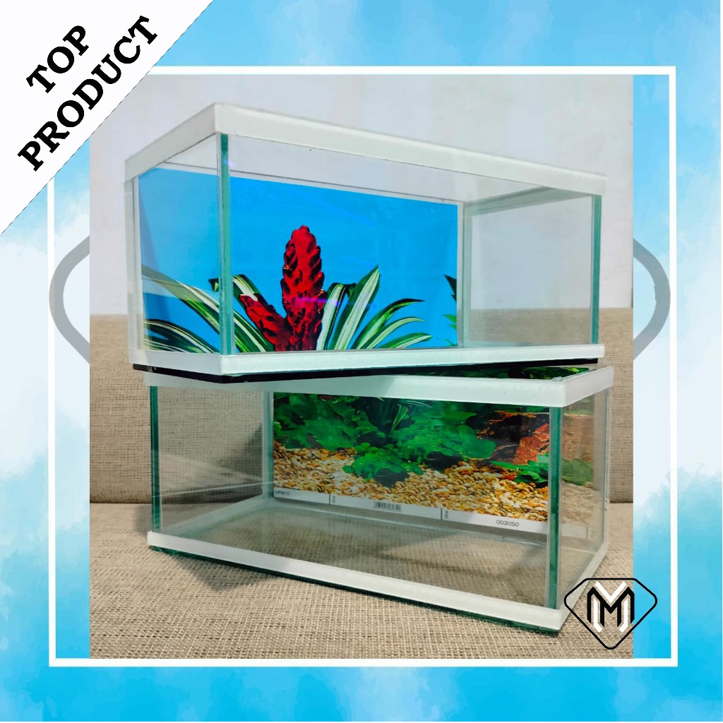 aquarium minimalis full set, aquarium mini , auarium cana sudah dapay beberapa perlengkapan aquarium