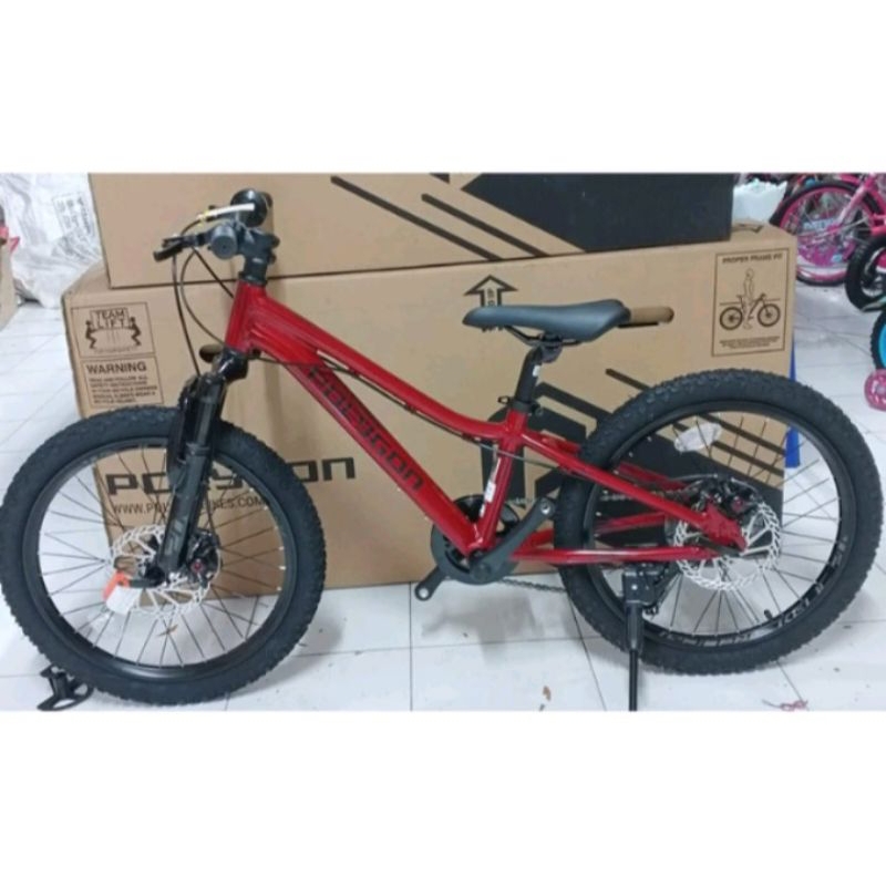 Sepeda MTB Junior POLYGON RELIC 20" WARNA TERBARU 2025