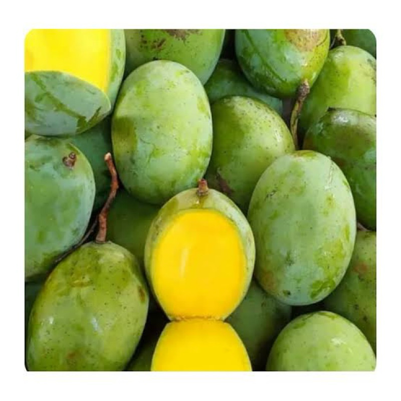 

kuini