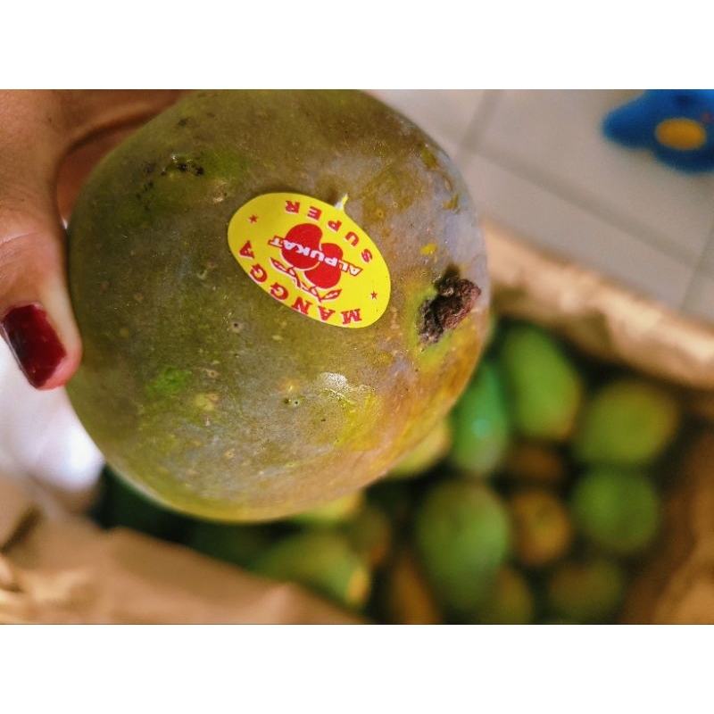

mangga alpukat