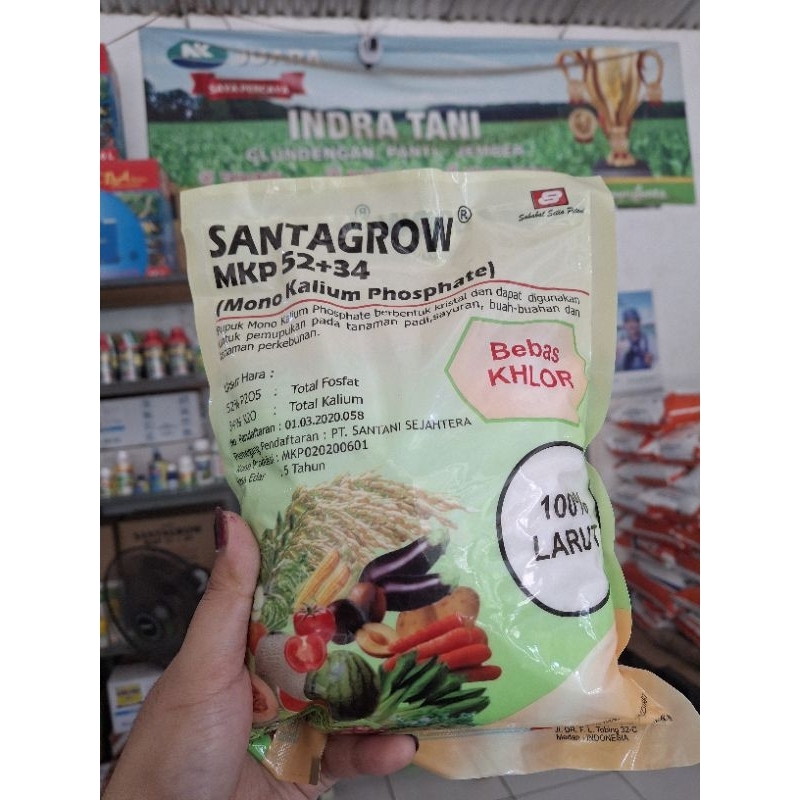 PUPUK MKP SANTAGROW MKP 52+34 SANTANI - KEMASAN 1KG