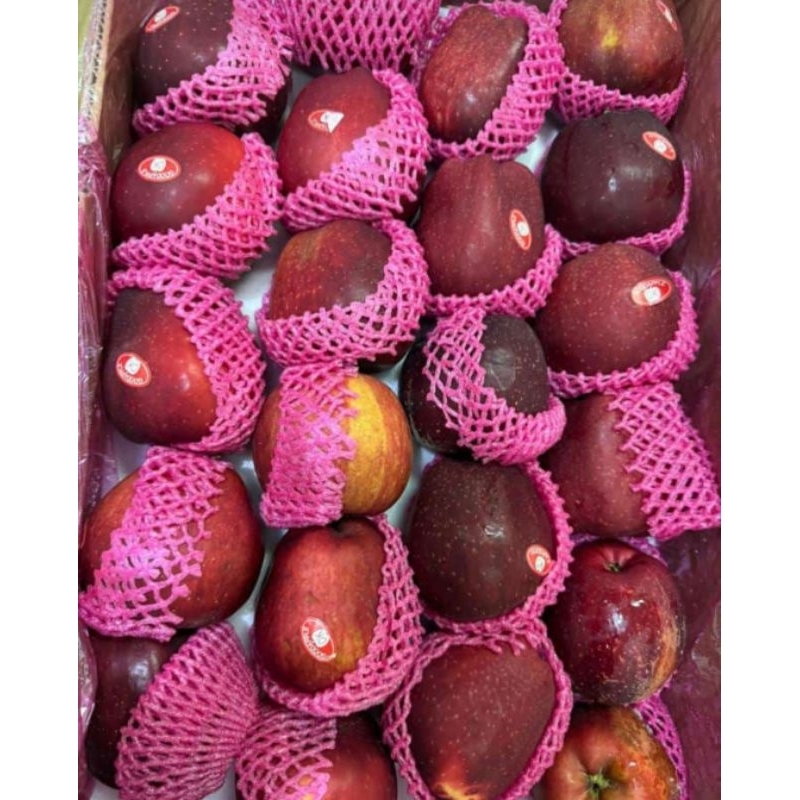

apel merah manis per kilo