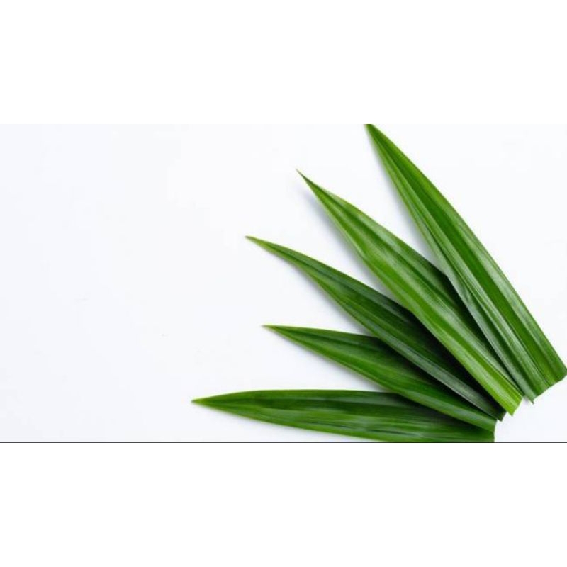 

Daun Pandan Wangi Segar Fresh 100 GRAM